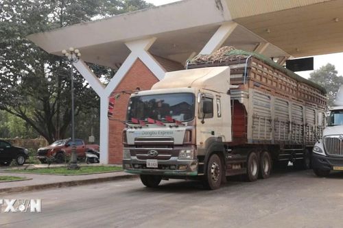 Tạm dừng áp dụng Nghị định số 46 về an toàn thực phẩm đến hết ngày 15/4