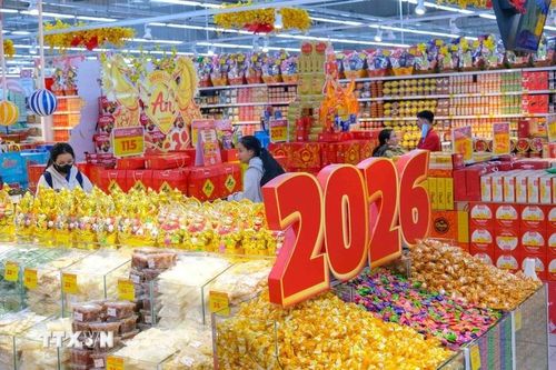 Thành phố Hồ Chí Minh: Hàng Việt chiếm lĩnh thị trường hàng Tết
