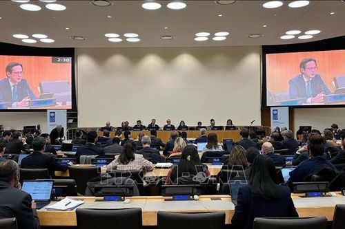 Việt Nam đánh giá cao vai trò của UNDP trong hợp tác vì phát triển bền vững