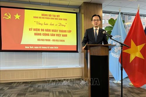 Phát huy vai trò tiên phong của công tác đối ngoại tại LHQ