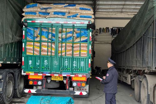 Tạm dừng Nghị định 46: Hải quan 'tăng tốc' thông quan hàng thực phẩm
