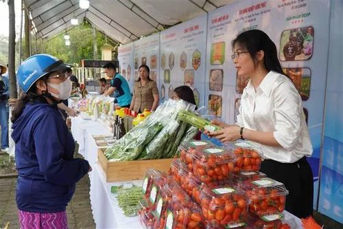 Hà Nội tổ chức 4 điểm bán sản phẩm OCOP phục vụ Tết Nguyên đán