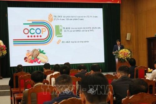 Phát triển đội ngũ cán bộ Mặt trận đáp ứng yêu cầu trong bối cảnh mới