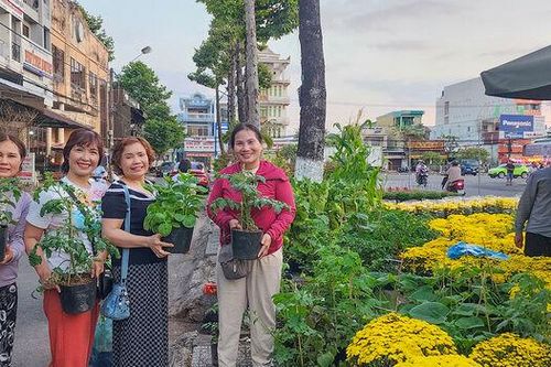 Hoa Tết về phố biển