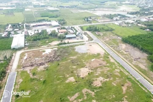 Doanh nghiệp mong được tham gia các dự án công