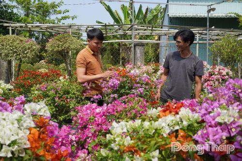 Đồng Tháp: Chăm chút chất lượng và nhạy bén mở rộng kênh tiêu thụ sản phẩm
