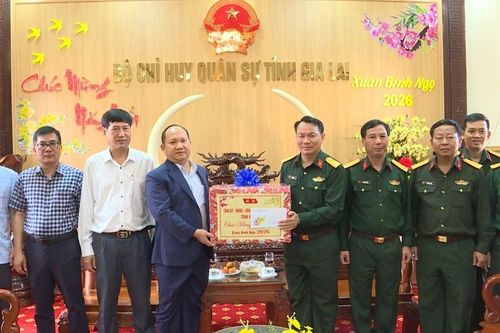 Phó Bí thư Thường trực Tỉnh ủy Rah Lan Chung chúc Tết các đơn vị