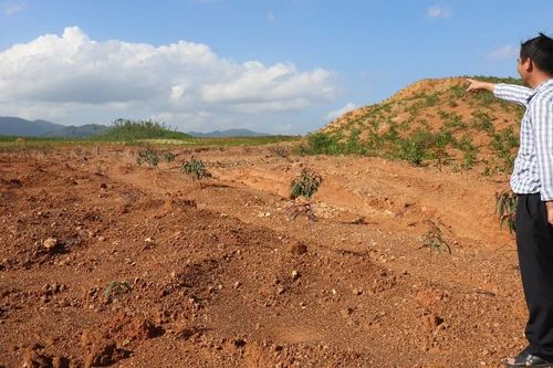 Canh Vinh tạo đột phá trong thu hút đầu tư hạ tầng cụm công nghiệp