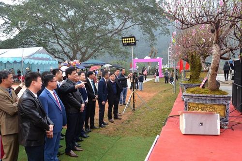 Khai mạc Lễ hội hoa đào xã Vũ Lễ