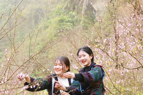 Nắng ấm Bản Giàng