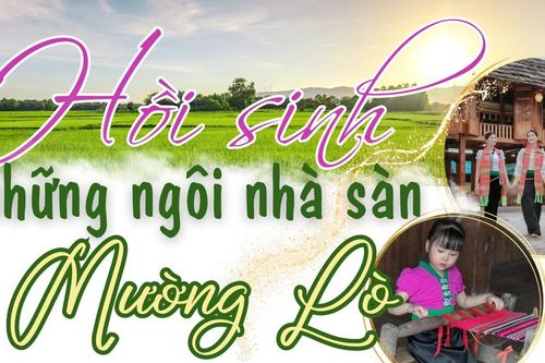 Hồi sinh những ngôi nhà sàn ở Mường Lò