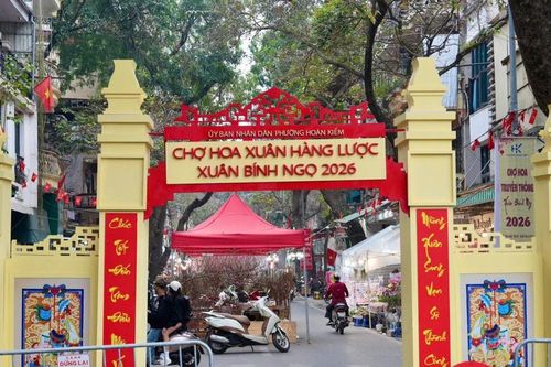 Độc đáo Chợ hoa Xuân phố cổ 2026 đón Tết Bính Ngọ