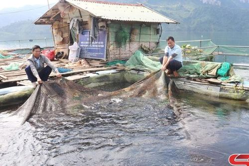 Nguồn vốn tín dụng chính sách khơi khát vọng làm giàu