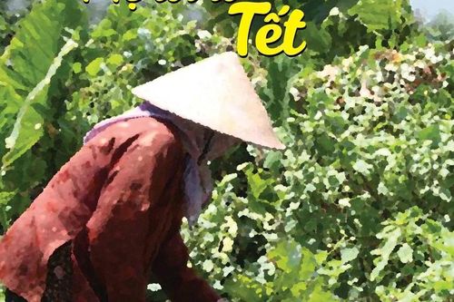 Mẹ tôi lo Tết