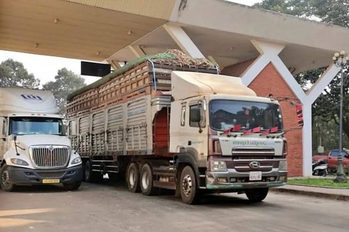 Chính phủ tạm dừng áp dụng Nghị định 46/2026/NĐ-CP về an toàn thực phẩm