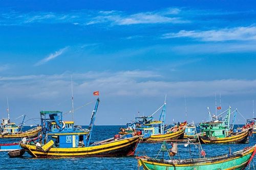 Nghị định mới về thủy sản Tăng chuẩn nuôi trồng, siết quản lý khai thác