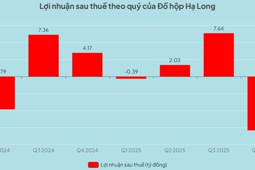 Đồ hộp Hạ Long báo lỗ kỷ lục giữa tâm bão 'thịt lợn nhiễm bệnh'