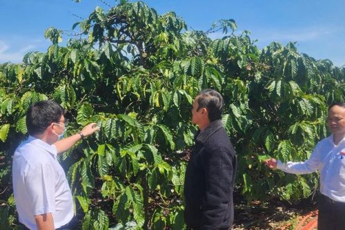 Lâm Đồng: Nâng cao chất lượng hoạt động cho vay qua tổ