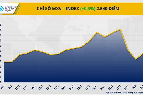 Thị trường hàng hóa: Giá đậu tương tăng mạnh, giá đồng COMEX đảo chiều suy yếu