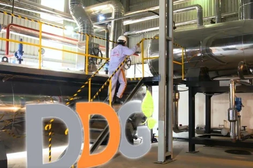 Đầu tư Công nghiệp Xuất nhập khẩu Đông Dương (DDG): Trắng doanh thu quý IV/2025, lỗ lũy kế hơn 500 tỷ đồng