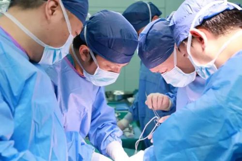 Trung Quốc ứng dụng gan lợn chỉnh sửa gen hỗ trợ điều trị suy gan