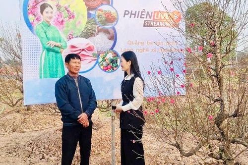 'Cánh cửa' tiêu thụ nông sản, hoa, cây cảnh hiệu quả