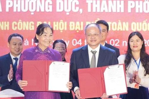 Phượng Dực liên kết hiệp hội, doanh nghiệp và nền tảng số