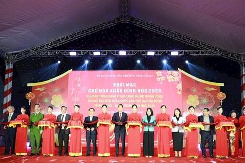 Phường Hoàng Mai khai mạc Chợ hoa Xuân Bính Ngọ 2026