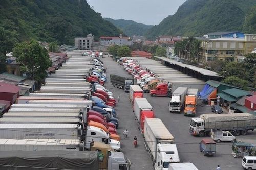 Dừng Nghị định số 46 về an toàn thực phẩm đến hết ngày 15/4/2026