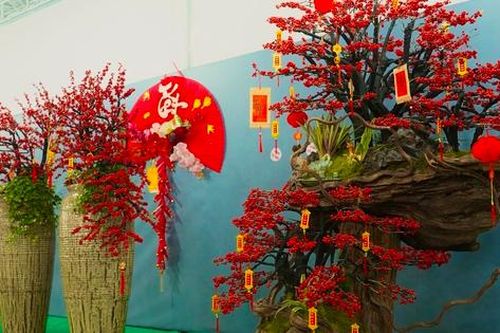Tết Bính Ngọ: Đào đông nhập khẩu giá 'bỏng tay', người chơi tò mò