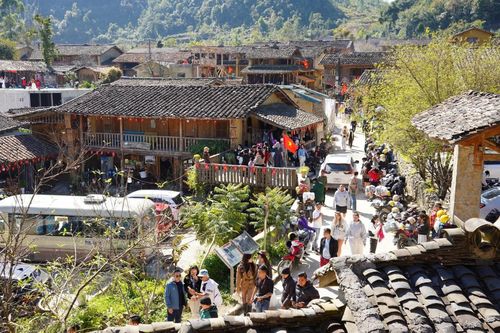 Vô vọng tìm homestay tại Lô Lô Chải dịp Tết