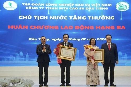 Cao-su Dầu Tiếng vượt kế hoạch, doanh thu gần 1.950 tỷ đồng