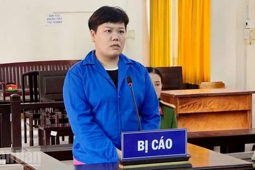 Lừa xuất khẩu lao động sang nước ngoài, người phụ nữ lĩnh 16 năm tù