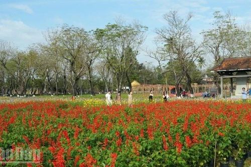 Khi Huế thắp sáng phía bắc sông Hương