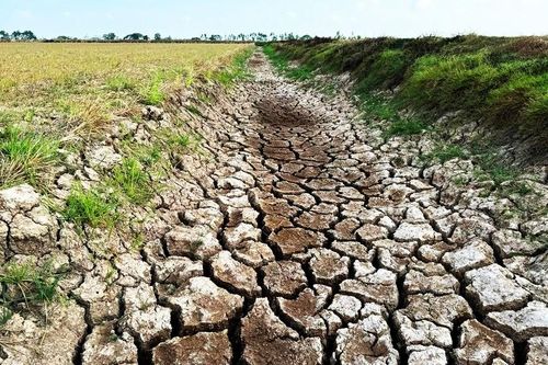 TP Cần Thơ 'chạy nước' mùa khô