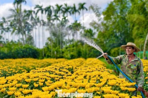 Làng hoa hơn 50 năm rộn ràng chở xuân khắp mọi miền