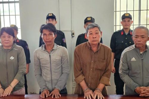 Bắt nhóm 'phù phép' đất rừng lừa đảo gần 20 tỷ đồng