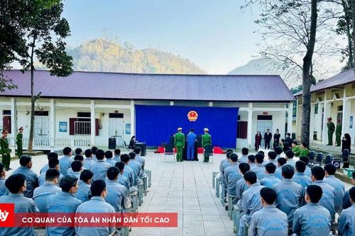Đang điều trị cai nghiện, vẫn lén lút sử dụng ma túy