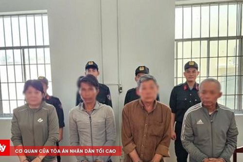 Bắt nhóm đối tượng làm giấy tờ giả để bán đất rừng phòng hộ