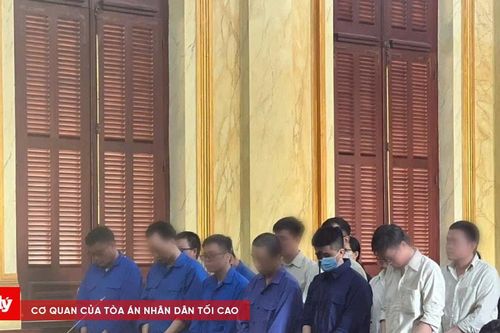 Tuyên án nhóm buôn lậu thức ăn chăn nuôi 'bẩn' trị giá hơn 1.700 tỷ đồng