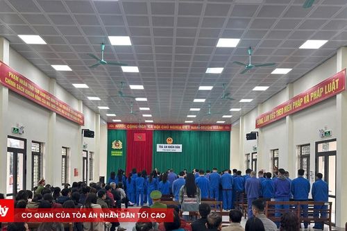 4 án chung thân, hơn 100 năm tù cho 46 bị cáo lừa đảo chiếm đoạt tài sản
