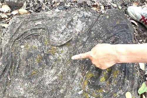 Thông tin mới nhất về 65 viên đá có họa tiết bí ẩn tại Vườn quốc gia Yok Đôn