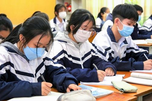 'Giao nhiều bài tập làm Tết mất ý nghĩa, học sinh và phụ huynh đều mệt mỏi'