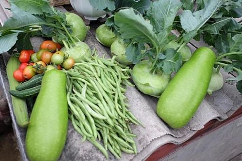 Loại thực phẩm có trong bữa ăn của mọi vùng trường thọ