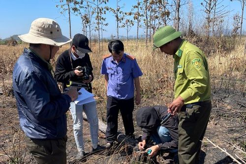 Kiểm sát việc khám nghiệm hiện trường vụ hủy hoại 8,14 ha rừng ở Gia Lai