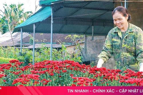 Khám phá làng hoa mới nổi ở Hà Tĩnh