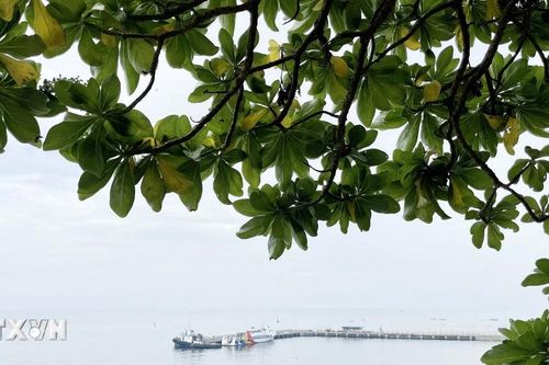 Quảng Ngãi: Hỗ trợ người dân Lý Sơn về quê đón Tết trong điều kiện thời tiết xấu