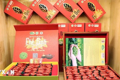 Cận Tết, chè Thái Nguyên bán chạy, sức mua tăng 30%