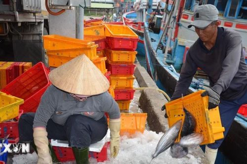 Lâm Đồng đặt mục tiêu trở thành trung tâm lớn về khai thác thủy sản
