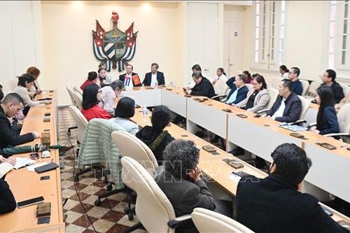 Cuba, Việt Nam tiếp tục vun đắp tình đoàn kết, hữu nghị đặc biệt